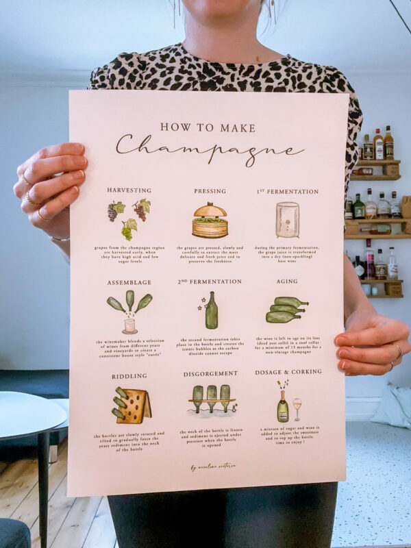 How to make champagne - Image 3