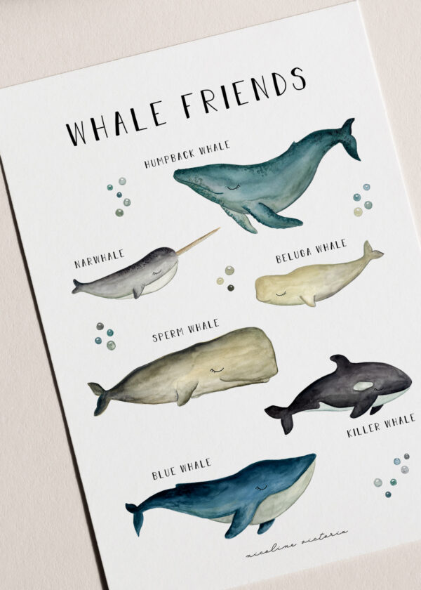Whale friends 1