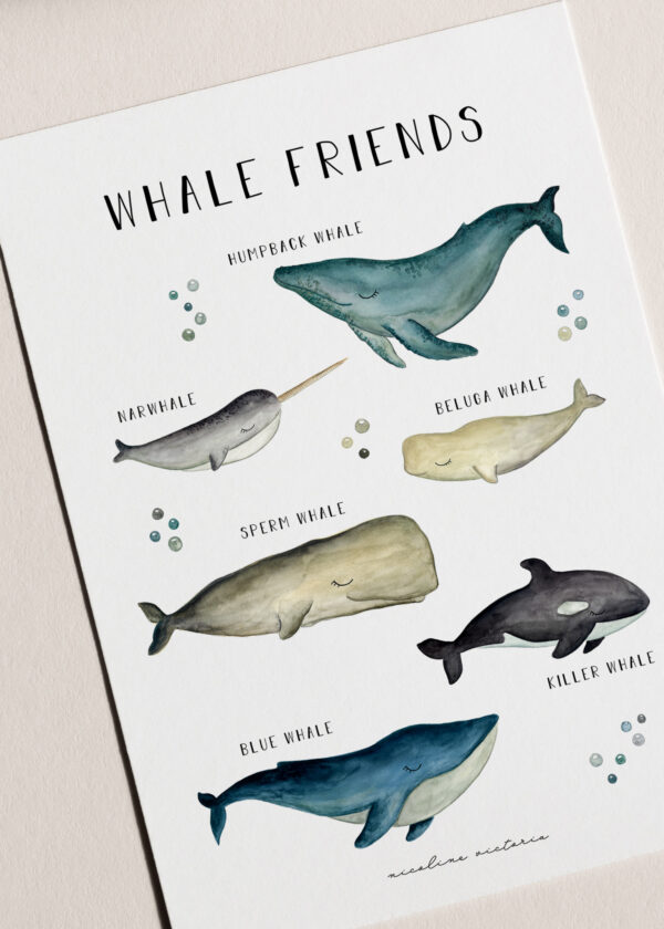 Whale friends 1